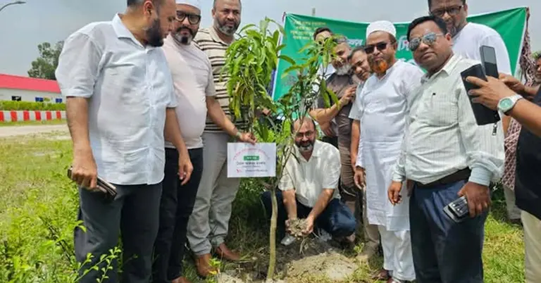 বৃক্ষ রোপণ করা হচ্ছে